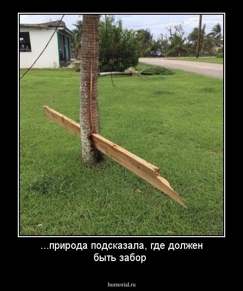 ...природа подсказала, где должен быть забор