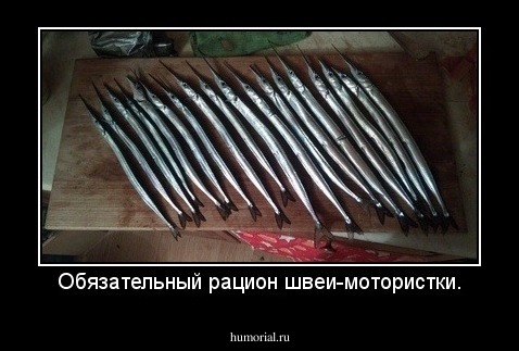 Обязательный рацион швеи-мотористки.