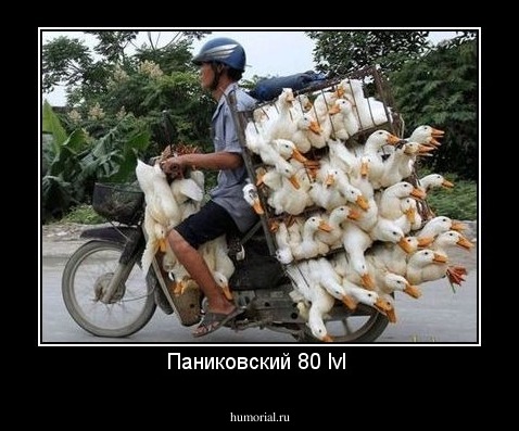 Паниковский 80 lvl 