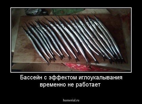 Бассейн  с эффектом  иглоукалывания временно не работает