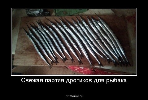Свежая партия дротиков для рыбака