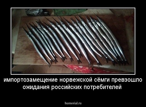 импортозамещение норвежской  сёмги превзошло ожидания российских  потребителей