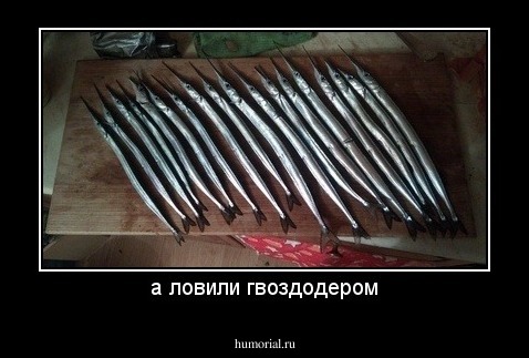 а ловили гвоздодером