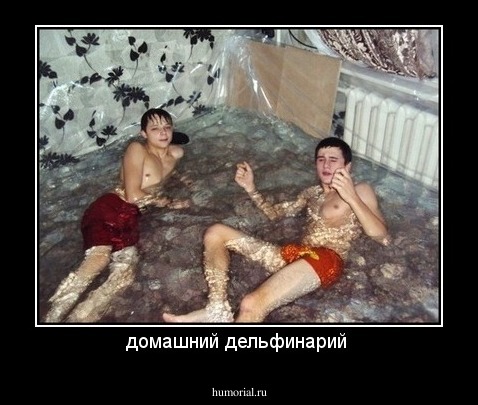 домашний дельфинарий 