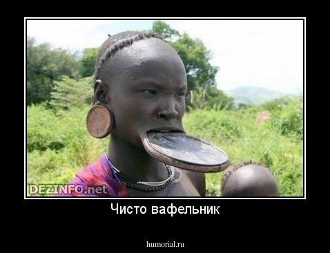 Чисто вафельник