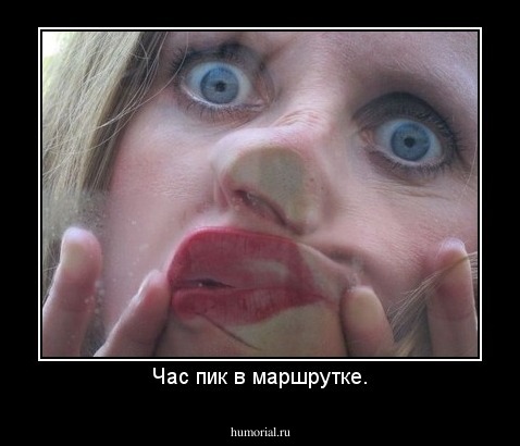 Час пик в маршрутке.