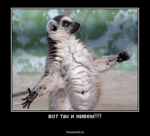 вот так и живем!!!!
