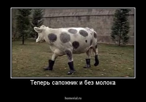 Теперь сапожник и без молока
