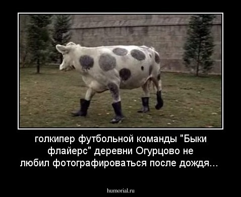 голкипер футбольной команды "Быки флайерс" деревни Огурцово не любил фотографироваться после дождя...