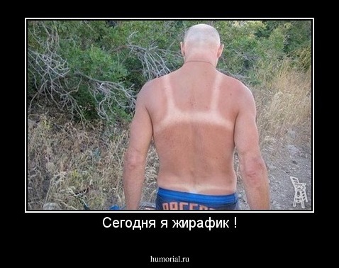 Сегодня я жирафик !