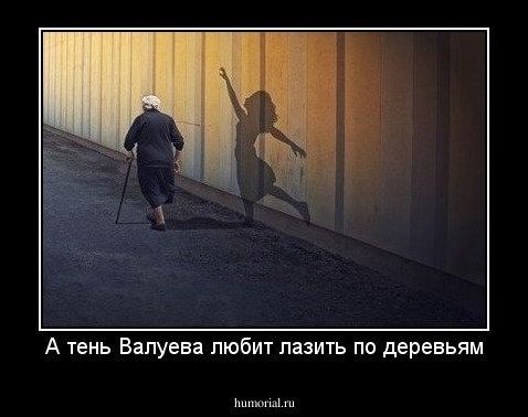 А тень Валуева любит лазить по деревьям
