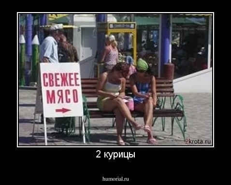 2 курицы