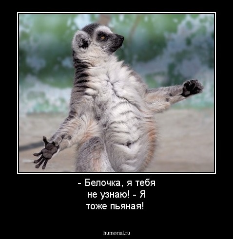 - Белочка, я тебя не узнаю!
- Я тоже пьяная!  

