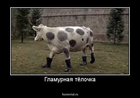 Гламурная тёлочка