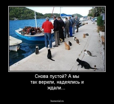 Снова пустой? А мы так верили, надеялись и ждали...