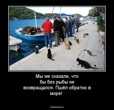 Мы же сказали, что бы без рыбы не возвращался. Пшёл обратно в море!