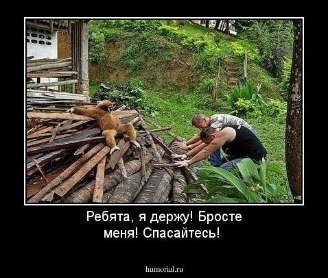 Ребята, я держу! Бросте меня! Спасайтесь!