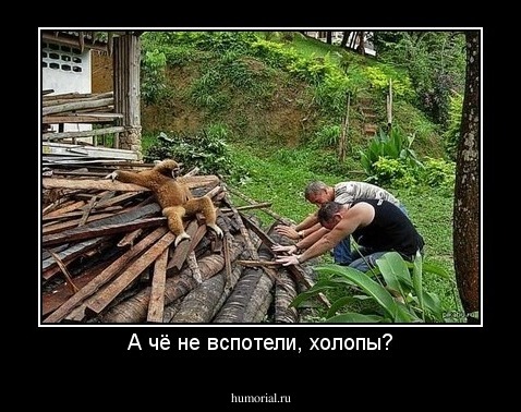 А чё не вспотели, холопы?