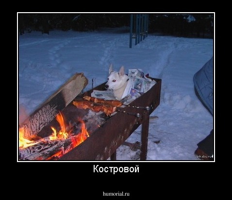 Костровой