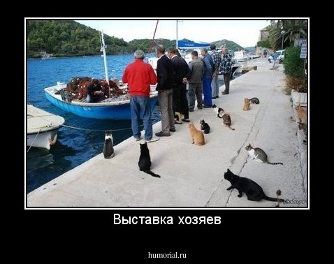 Выставка хозяев