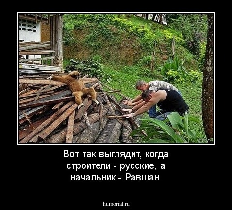 Вот так выглядит, когда строители - русские, а начальник - Равшан