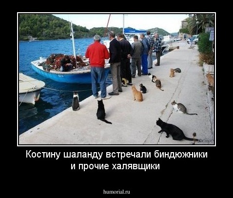 Костину шаланду встречали биндюжники и прочие халявщики