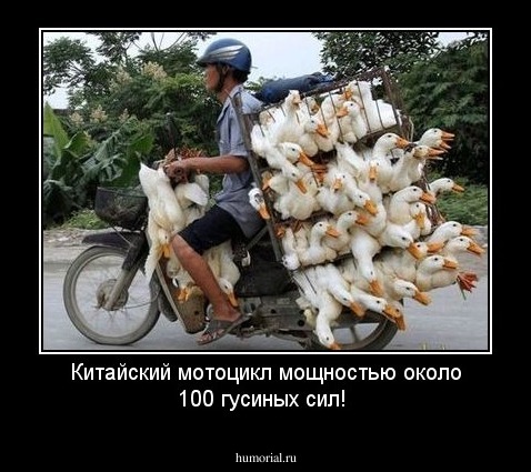 Китайский мотоцикл мощностью около 100 гусиных сил!