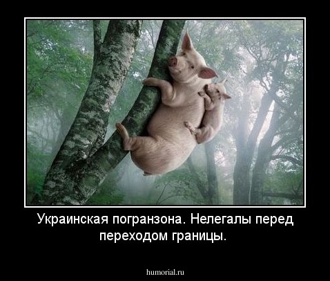 Украинская погранзона. Нелегалы перед переходом границы.