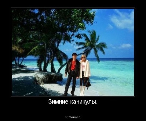 Зимние каникулы.
