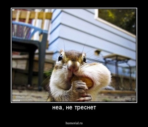 неа, не треснет