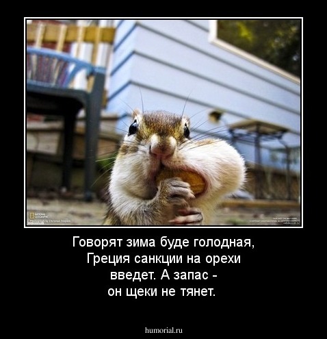 Говорят зима буде голодная, Греция санкции на орехи введет. А запас - он щеки не тянет. 