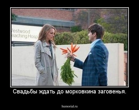 Свадьбы ждать до морковкина заговенья.