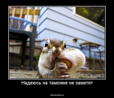 Надеюсь на таможне не заметят
