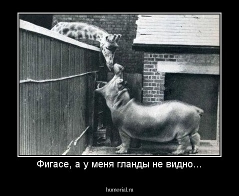 Фигасе, а у меня гланды не видно...