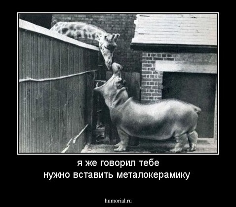 я же говорил тебе нужно вставить металокерамику 