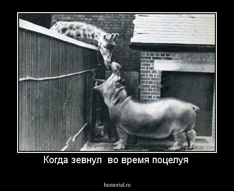 Когда зевнул  во время поцелуя 