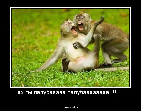 ах ты палубааааа палубаааааааа!!!!,...