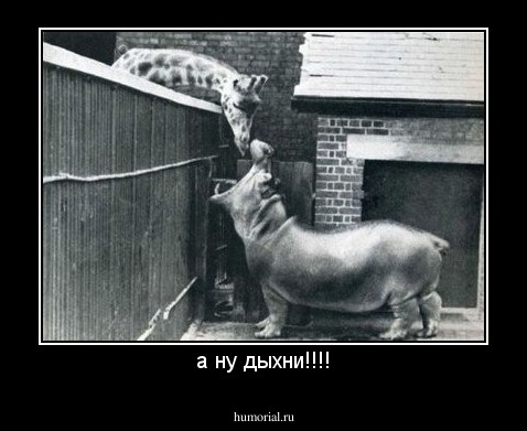 а ну дыхни!!!!