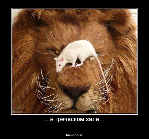 ...в греческом зале...