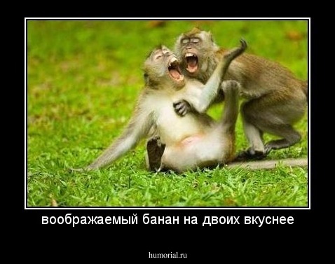 воображаемый банан на двоих вкуснее