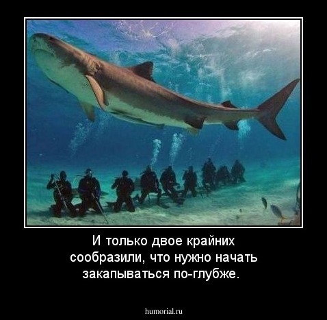 И только двое крайних сообразили, что нужно начать закапываться по-глубже.