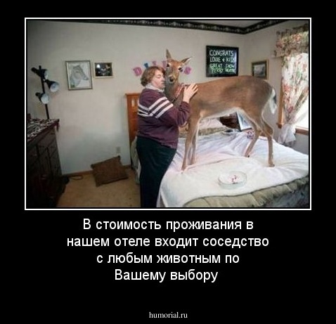 В стоимость проживания в нашем отеле входит соседство с любым животным по Вашему выбору