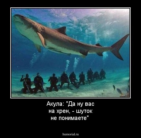 Акула: "Да ну вас на хрен, - шуток не понимаете"