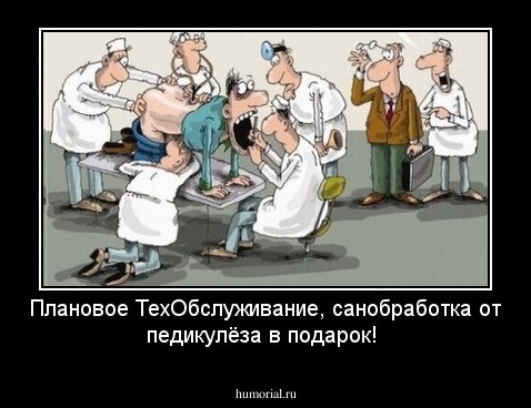 Плановое ТехОбслуживание, санобработка от педикулёза в подарок!