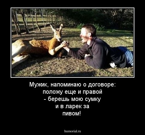 Мужик, напоминаю о договоре: положу еще и правой - берешь мою сумку и в ларек за пивом!