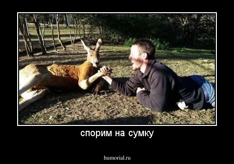 спорим на сумку