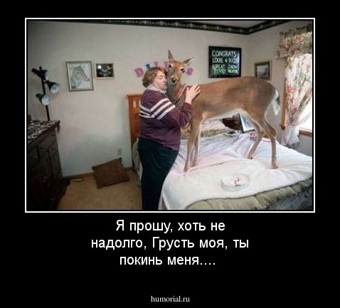 Я прошу, хоть не надолго,
Грусть моя, ты покинь меня....