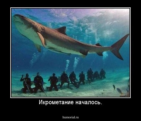 Икрометание началось.