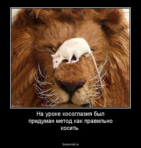 На уроке косоглазия был придуман метод как правильно косить 