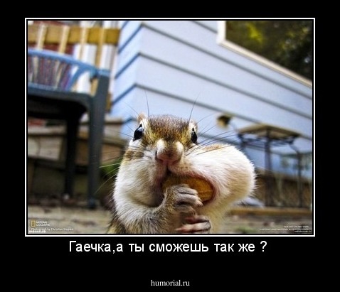 Гаечка,а ты сможешь так же ? 
